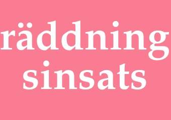 Synonym räddningsinsats