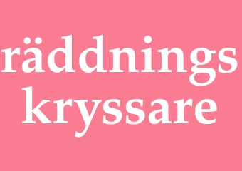 Synonym räddningskryssare