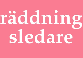 Synonym räddningsledare