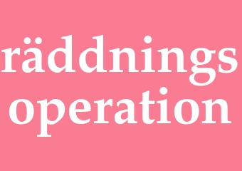 Synonym räddningsoperation