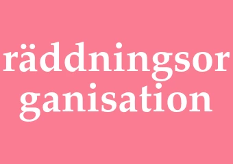 Synonym räddningsorganisation