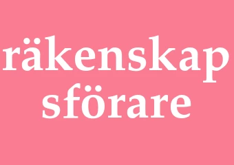 Synonym räkenskapsförare