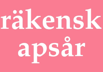 Synonym räkenskapsår