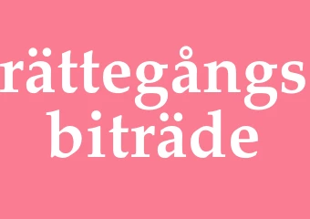 Synonym rättegångsbiträde