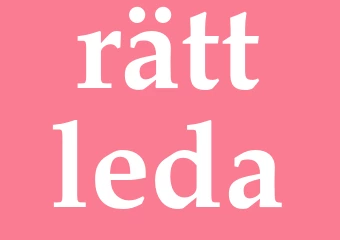 Synonym rättleda