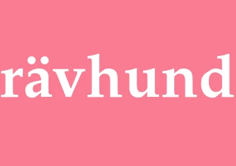 Synonym rävhund