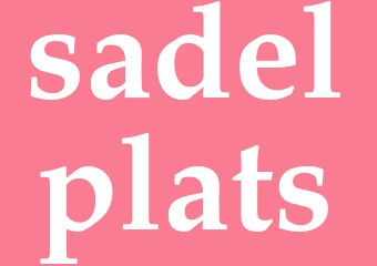 Synonym sadelplats