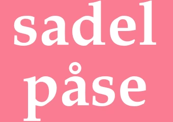 Synonym sadelpåse