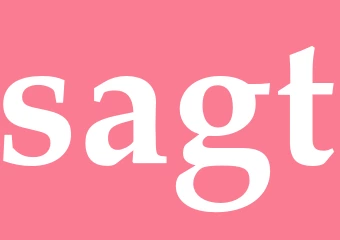 Synonym sagt
