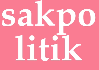 Synonym sakpolitik