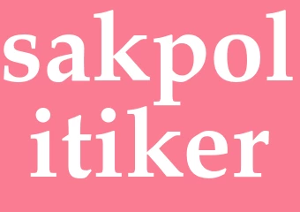 Synonym sakpolitiker