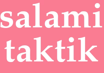 Synonym salamitaktik