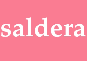 Synonym saldera