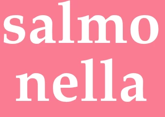 Synonym salmonella