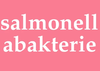 Synonym salmonellabakterie