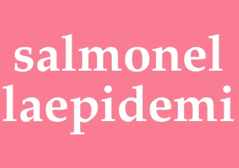Synonym salmonellaepidemi