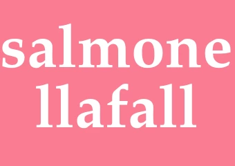 Synonym salmonellafall