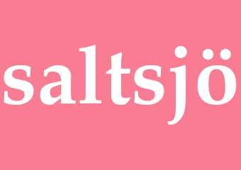 Synonym saltsjö