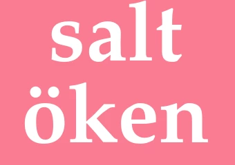 Synonym saltöken