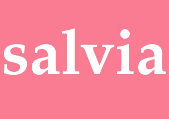 Synonym salvia