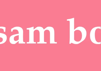 Synonym sam bo