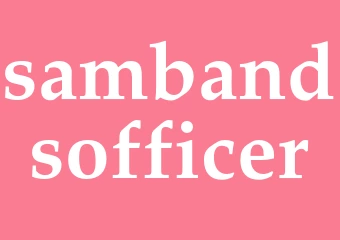 Synonym sambandsofficer