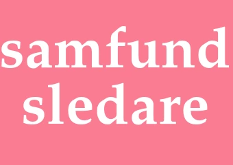 Synonym samfundsledare