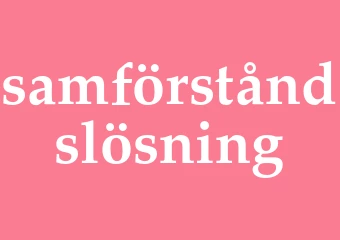 Synonym samförståndslösning