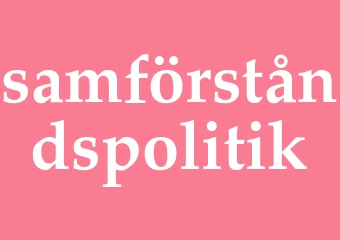 Synonym samförståndspolitik