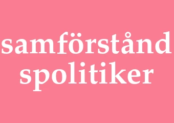 Synonym samförståndspolitiker