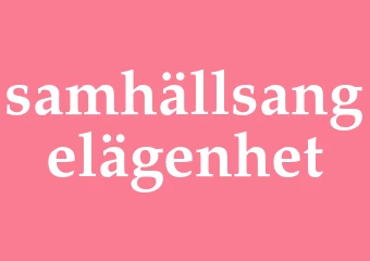 Synonym samhällsangelägenhet