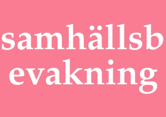 Synonym samhällsbevakning