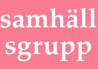 Synonym samhällsgrupp