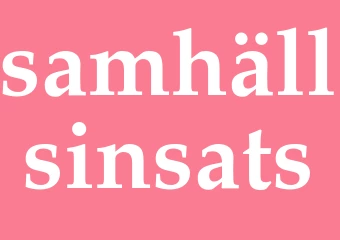 Synonym samhällsinsats