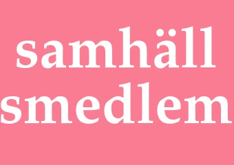 Synonym samhällsmedlem