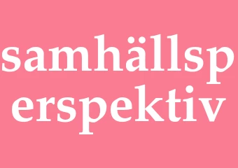 Synonym samhällsperspektiv