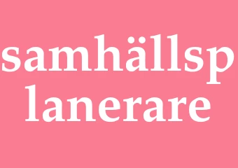 Synonym samhällsplanerare