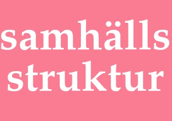 Synonym samhällsstruktur