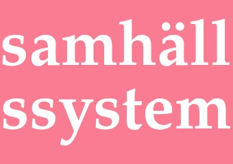 Synonym samhällssystem