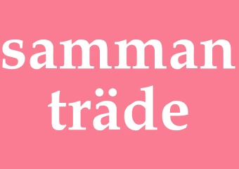 Synonym sammanträde