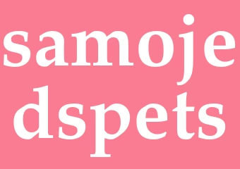 Synonym samojedspets