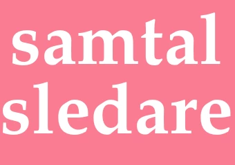 Synonym samtalsledare