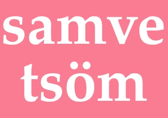 Synonym samvetsöm