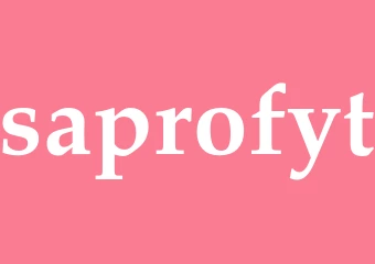 Synonym saprofyt