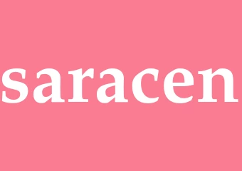 Synonym saracen