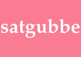 Synonym satgubbe