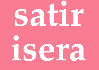 Synonym satirisera