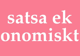 Synonym satsa ekonomiskt