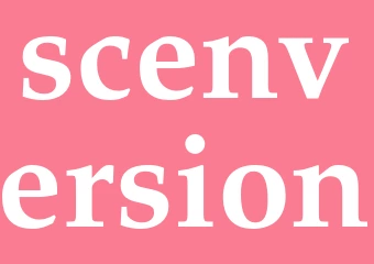 Synonym scenversion
