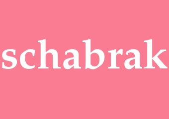 Synonym schabrak